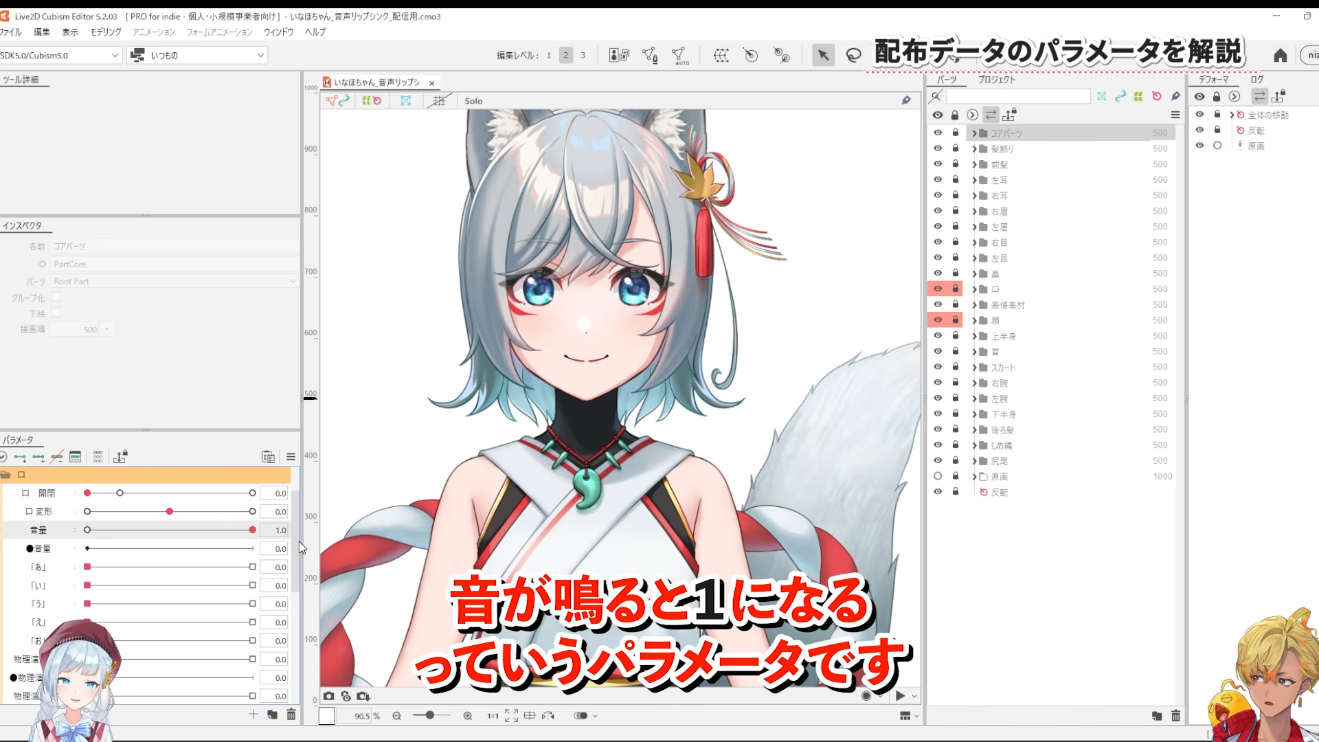 Parameter Description