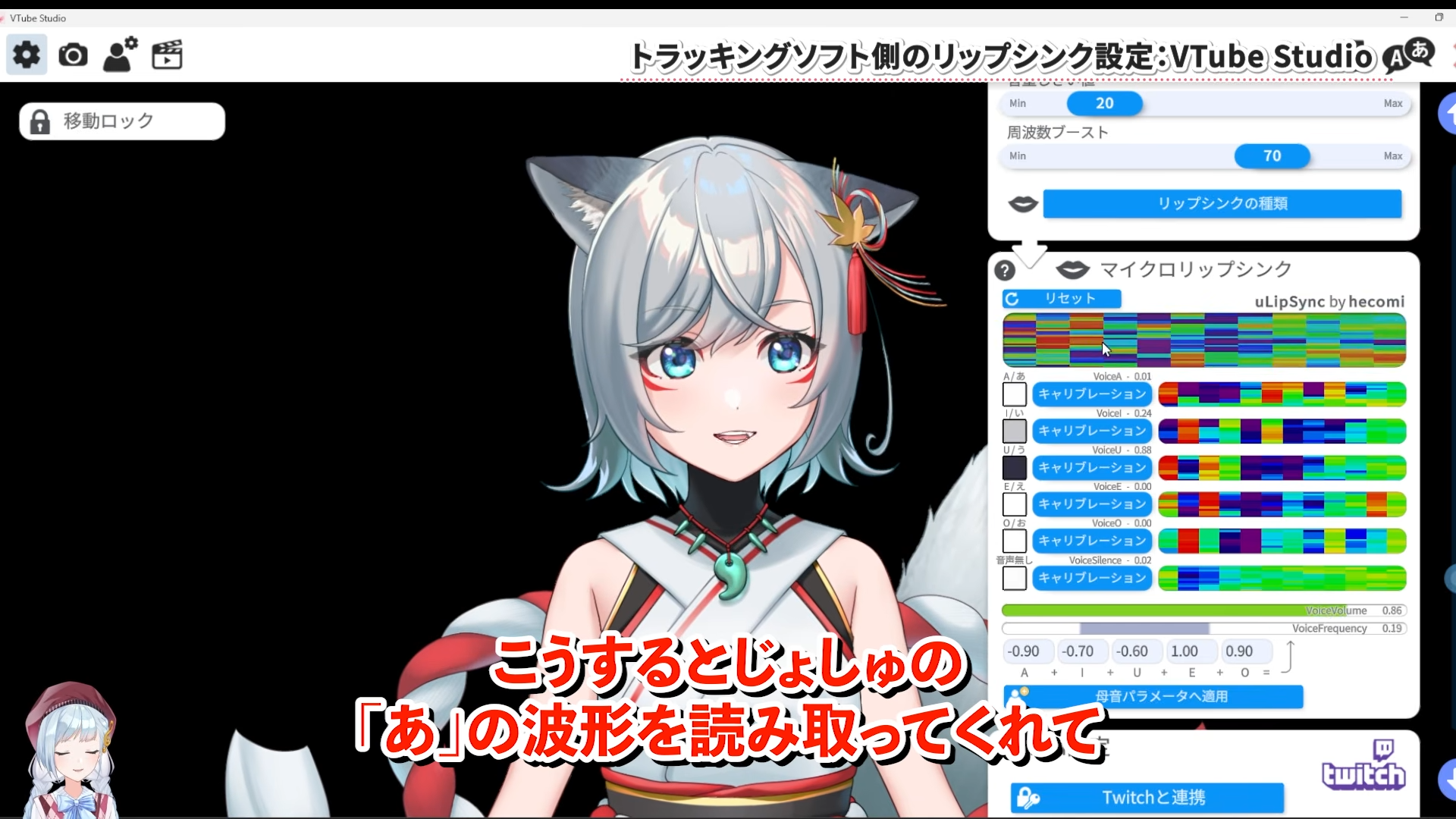 Explanation of VTubeStudio settings