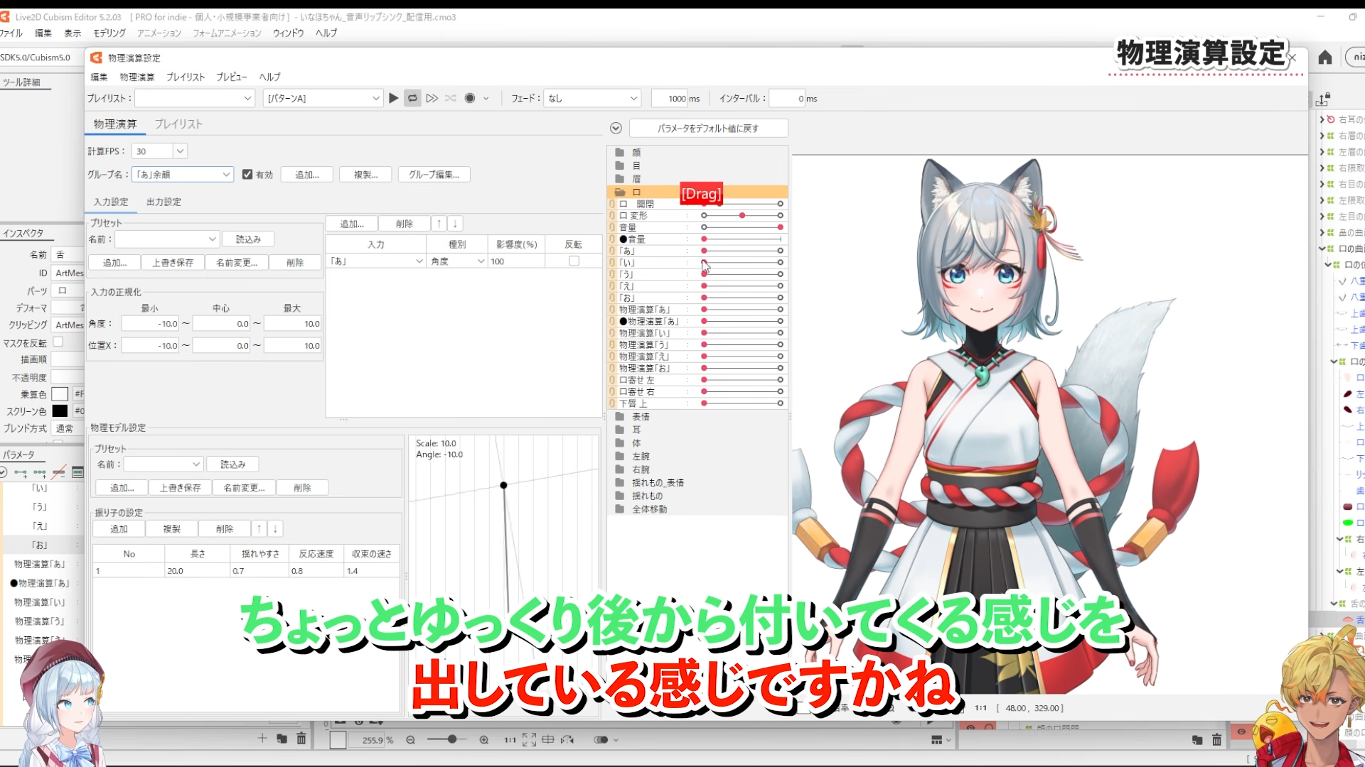 Explanation of physics settings